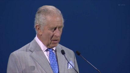 King Charles Admitted to Hospital for Prostate Treatment