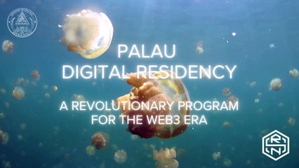 Palau's Digital Residency Program: Your Gateway to a Global Digital Identity!