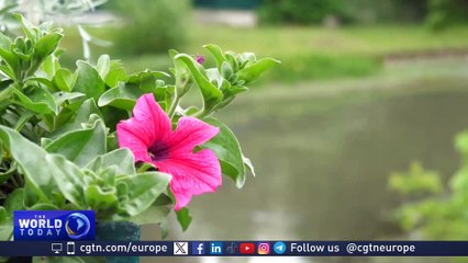 The Chinese Communist Party's links to a corner of France