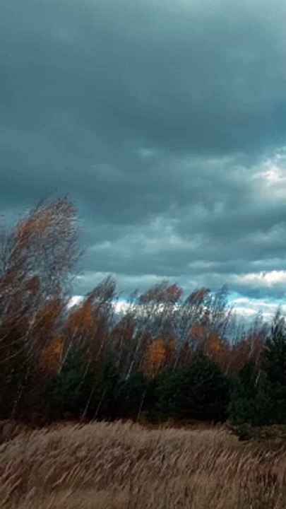رَضِيتُم بِالْحَيَاةِ الدُّنْيَا مِنَ الْآخِرَةِ ۚ فَمَا مَتَاعُ الْحَيَاةِ الدُّنْيَا فِي الْآخِرَةِ إِلَّا قَلِيلٌ) #قران كريم) #quran_elkarem