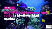 ECOMARE: el proyecto que cuida la biodiversidad marina