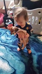 Logan is trying to give Eevee a ride