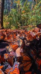 Earth Is Stationary.