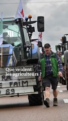 Qu’est-ce qui a provoqué la mobilisation des agriculteurs ?