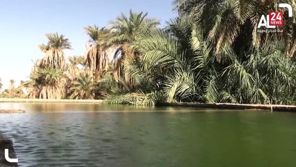 تاريخ عاصمة منطقة توات تمنطيط ولاية أدرار