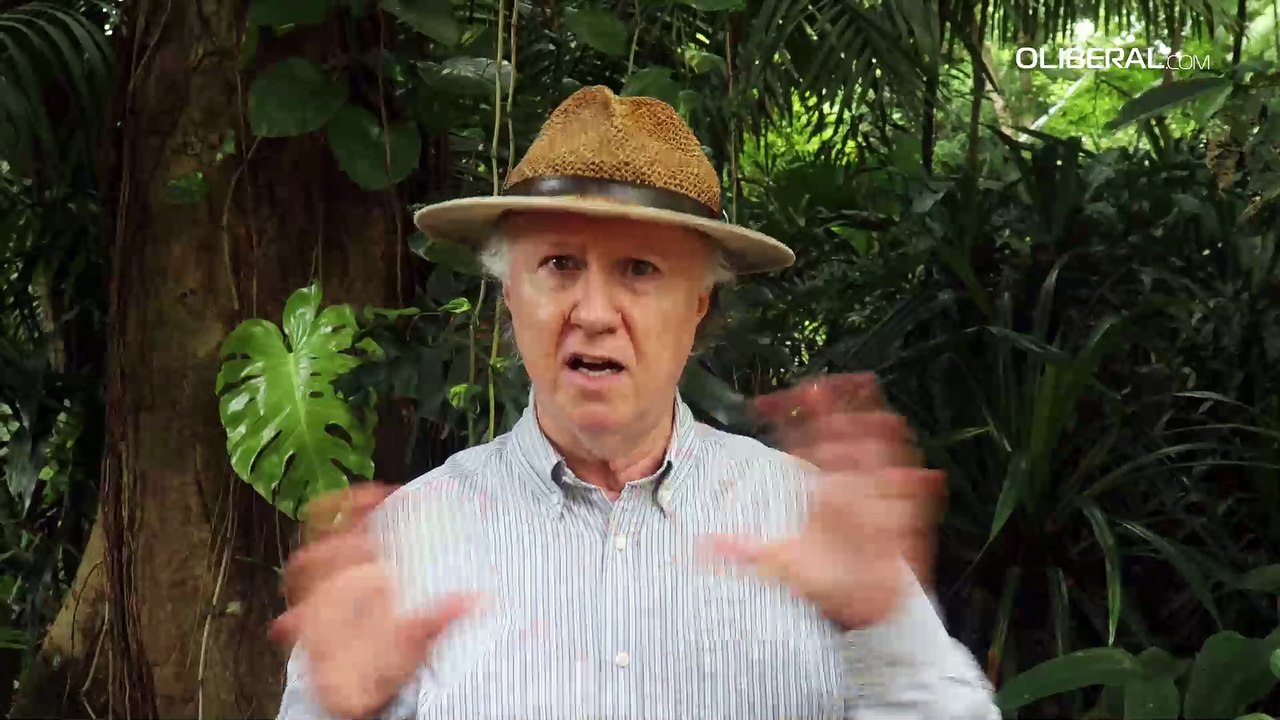 Recursos escassos dificultam pesquisas na Amazônia