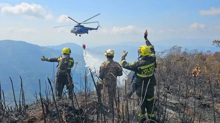 Incendio en páramo de Berlín fue controlado en su totalidad: fueron rescatados animales y frailejones