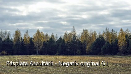 NEGATIV Original - Răsplata Ascultării