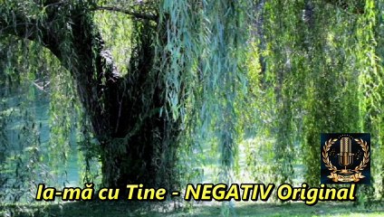 NEGATIV Original - Ia-mă cu Tine