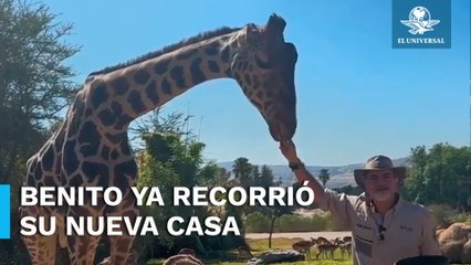 Benito ya salió a conocer a sus nuevos amigos y su nueva casa