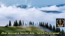 NEGATIV Original - Zbor,deasupra Norilor Albi