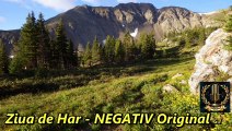 NEGATIV Original - Ziua de Har