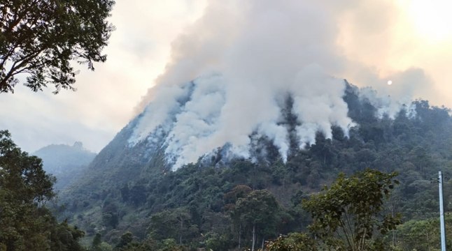 Incendio forestal en La Pradera completó más de 48 horas