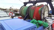 PÊCHES | Ouverture de la pêche au sébaste, réduction du quotas de crevettes
