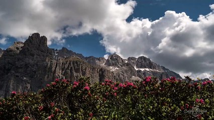 The Silence of the Dolomites - (Headphones recommended)
