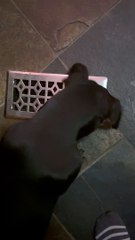 Warming Up His Ears