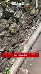 Sukses berawal dari mimpi, tapi jangan mimpi di jam kerja ya semeton!