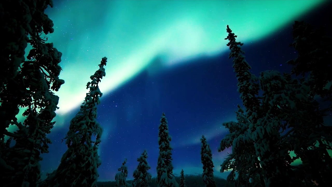 Die Welt in den Farben der Nacht | show | 2020 | Official Trailer