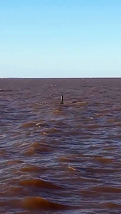 Sculpture Reconstruction du portrait de Pablo Míguez. Installation au Parque de la Memoria à Buenos Aires. Le monument rappelle les personnes disparues sous la dictature militaire et jetées dans la rivière. #argentine #memoire #histoire
