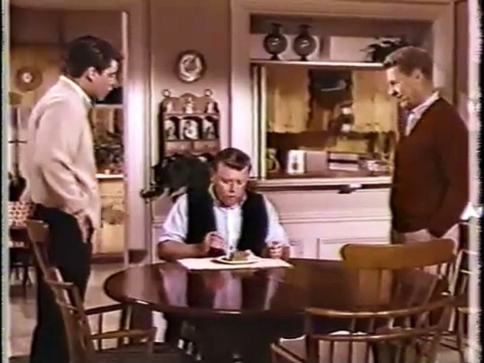The Adventures of Ozzie and Harriet Wally's Traffic Ticket 1966