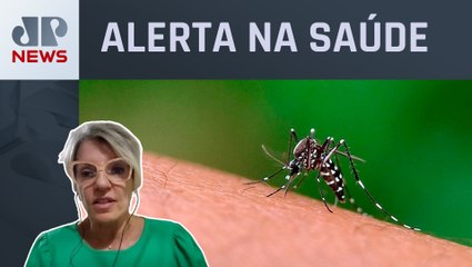 Médica analisa epidemia de dengue no Brasil: “Expectativa é de piora até março e abril”
