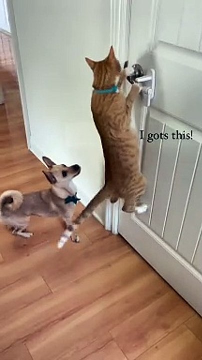 Robbery at home