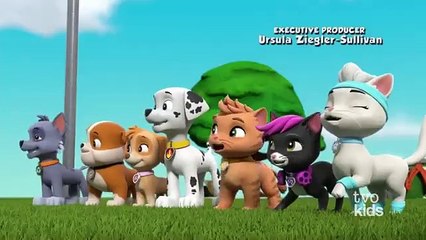 paw patrol - so cool