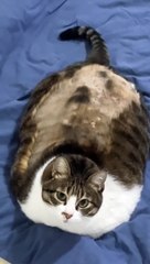 girl After the holidays at Grandma's 