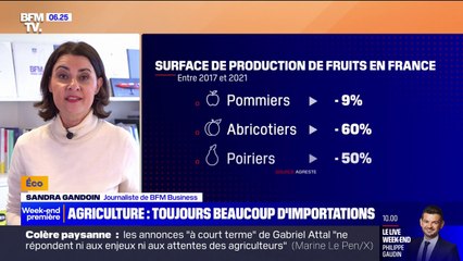 Download Video: Agriculture: la part des importations toujours conséquente