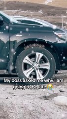 Little birds sheltering from the winter weather