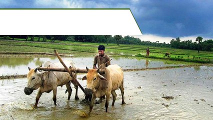 PM Kisan Yojana రూ.6 వేల నుంచి రూ.8 వేలకు పెంపు..! | Telugu Oneindia