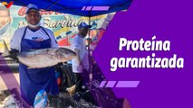 A Pulso | Ferias del Cardumen se mantienen para garantizar la proteína pesquera a los venezolanos