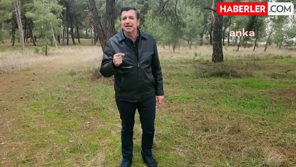 CHP'li Gaytancıoğlu: Ayçiçek ithalatında gümrük vergisi düşürülmesi eleştirisi
