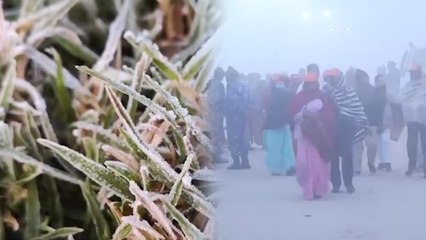 Cold Wave Alert: কনকনে ঠাণ্ডায় কাবু উত্তর-দক্ষিণ India! Cold Wave-এর পূর্বাভাস আবহাওয়া দফতরের