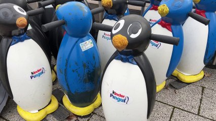 Funkcjonowanie lodowiska w Przemyślu uzależnione od pogody