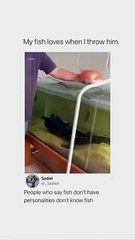 Can't Stop Laughing : The Most Hilarious Videos Ever!