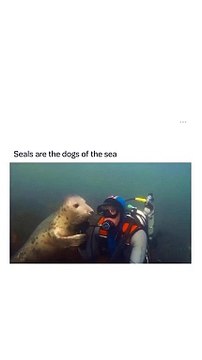 Hilarious Mishaps and Bloopers : Unstoppable Humor and Fun!