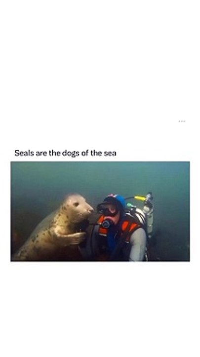 Hilarious Mishaps and Bloopers : Unstoppable Humor and Fun!