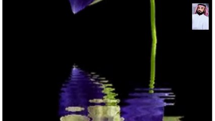 قرآن كريم بصوت جميل جدا