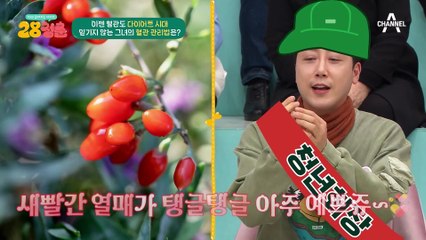 요구르트로 근육생성까지?! 혈압관리 특별 비법★