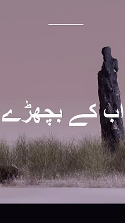 2 Line Urdu Poetry | Ab ke Bichry | Urdu Shayari #ytshorts