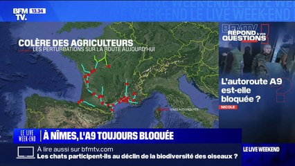 Download Video: Colère des agriculteurs: l'autoroute A9 est-elle bloquée? BFMTV répond à vos questions