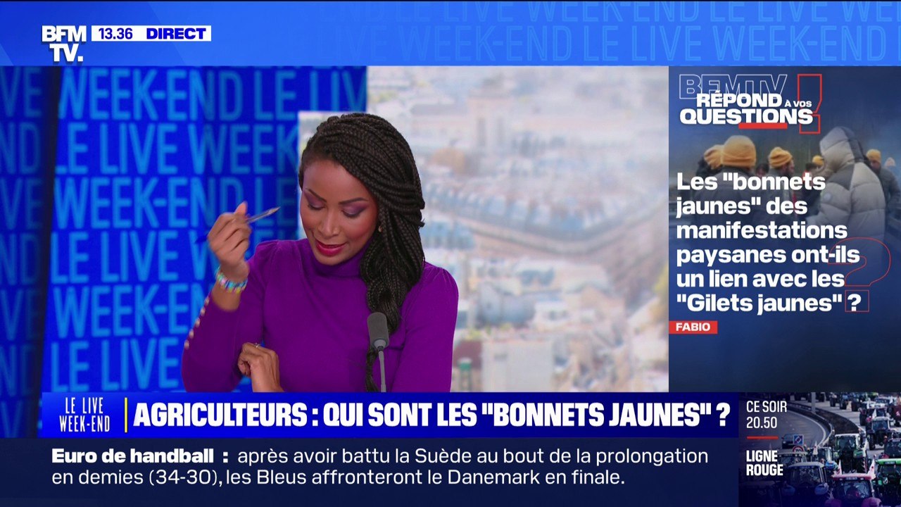 Agriculteurs: qui sont les "bonnets jaunes"? BFMTV répond à vos questions