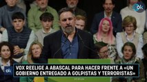 Vox reelige a Abascal para hacer frente a «un gobierno entregado a golpistas y terroristas»