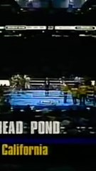 Alfred Ankamah vs Jose Luis Verdugo (KO)