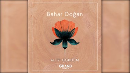Bahar Doğan - Ali'yi Gördüm