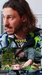 L'insect le plus dangereux du monde !!!