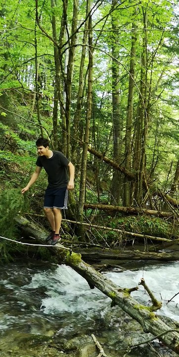 Man Falls Crossing Branch Over Stream