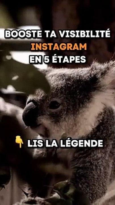 Booste ta visibilité sur Instagram en 5 étapes