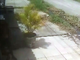 Homem é flagrado se masturbando na rua olhando crianças de biquíni